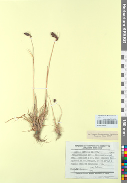 KPABG050435