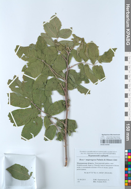 KPABG050446