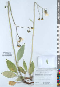 KPABG050457