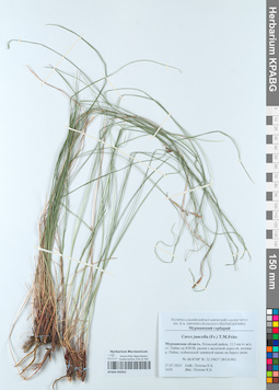 KPABG050502