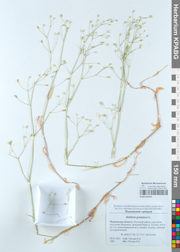 KPABG050510