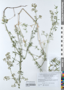 KPABG050515