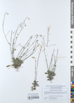 KPABG050518