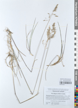 KPABG050522