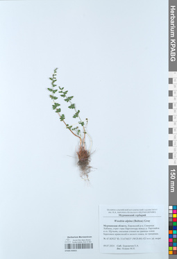 KPABG050621
