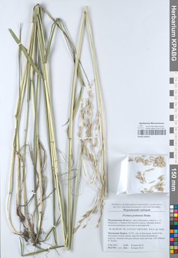 KPABG050623