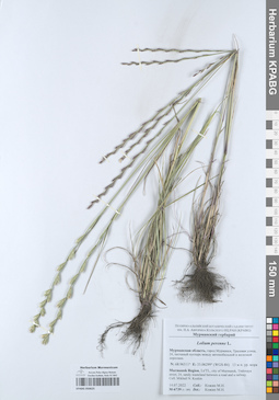 KPABG050625