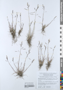 KPABG050630