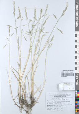 KPABG050633