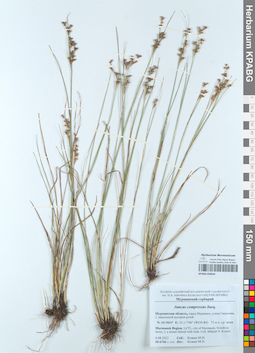 KPABG050634