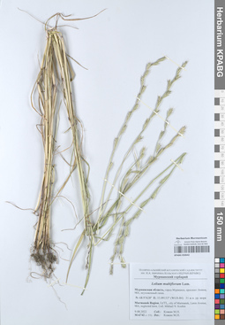 KPABG050642