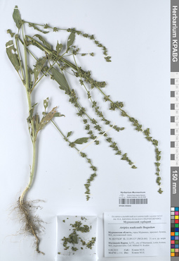 KPABG050643