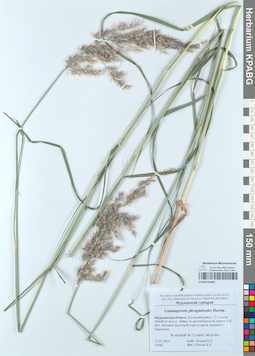 KPABG050665