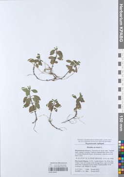 KPABG050669