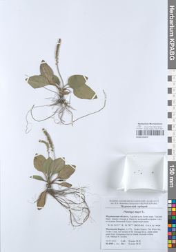 KPABG050670
