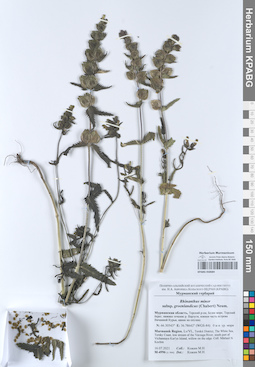 KPABG050684