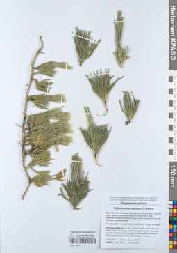 KPABG050693