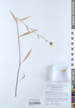 KPABG050703