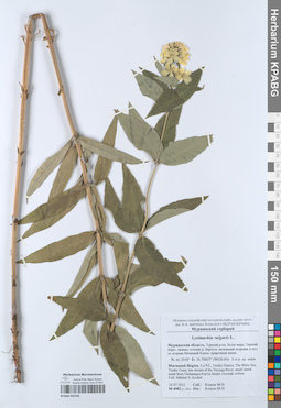 KPABG050706