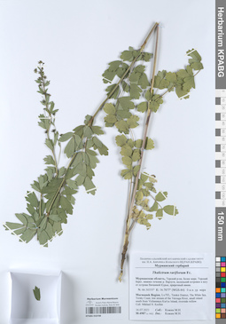 KPABG050708