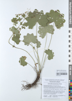KPABG050712