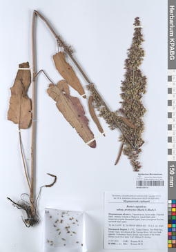 KPABG050714