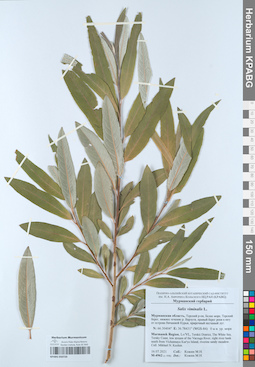 KPABG050720