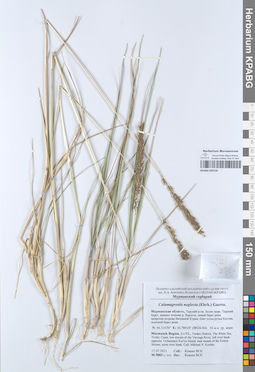 KPABG050730