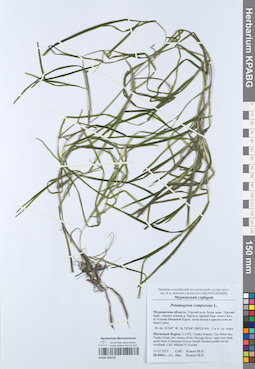 KPABG050735