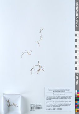 KPABG050738