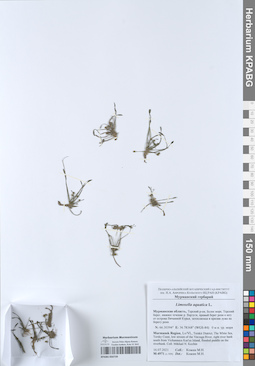 KPABG050739