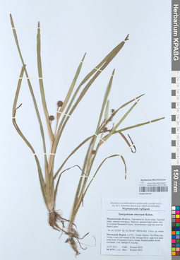 KPABG050743
