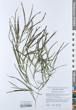 KPABG050745
