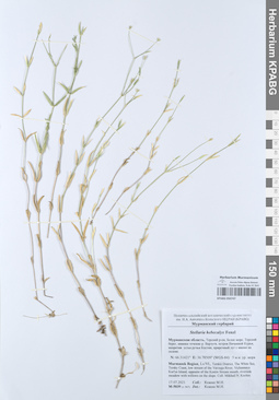 KPABG050747