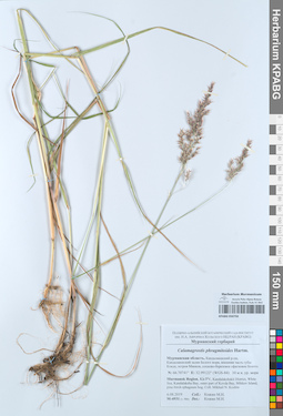 KPABG050750