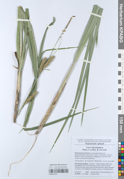 KPABG050754