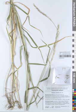 KPABG050755