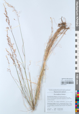KPABG050758