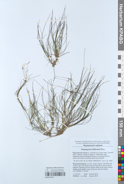 KPABG050762