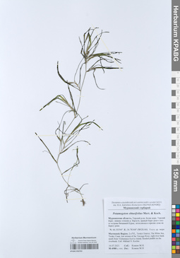 KPABG050763
