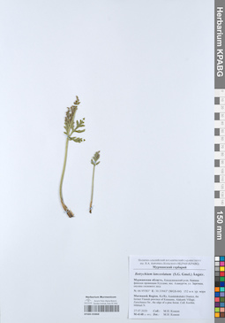 KPABG050868
