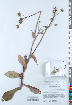 KPABG050870
