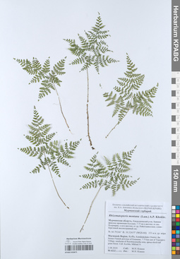 KPABG050875