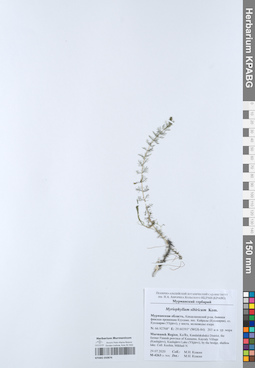 KPABG050876