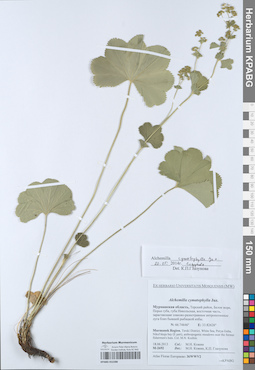 KPABG052288