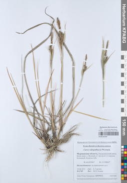 KPABG052294
