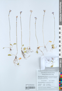 KPABG052295