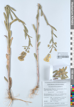 KPABG052306