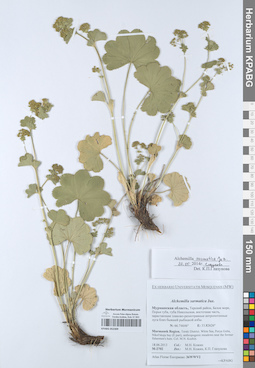 KPABG052309