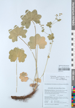 KPABG052311